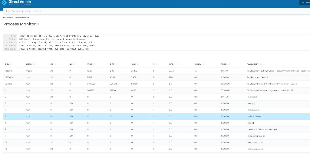 DirectAdmin: Process Monitor